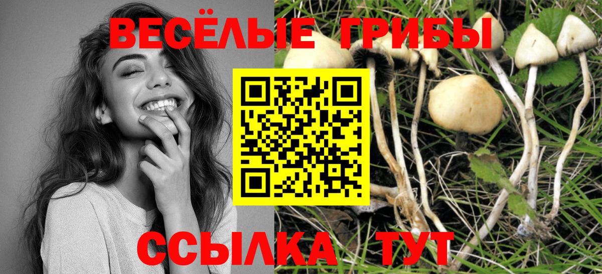 Псилоцибиновые грибы Magic Shrooms Рыбинск