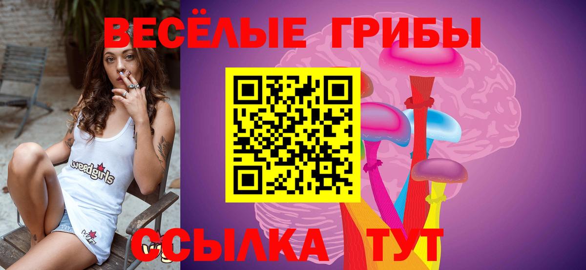 Рыбинск  Галлюциногенные грибы мицелий  Псилоцибиновые грибы Cubensis  Вход с VPN 