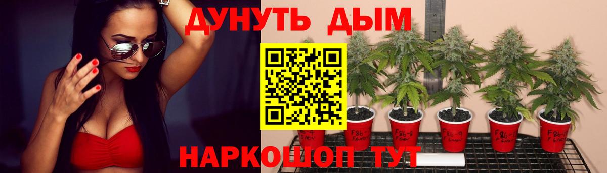 Бошки Шишки планчик  Конопля тримм  Бошки марихуана планчик  Рыбинск  Вход с VPN 